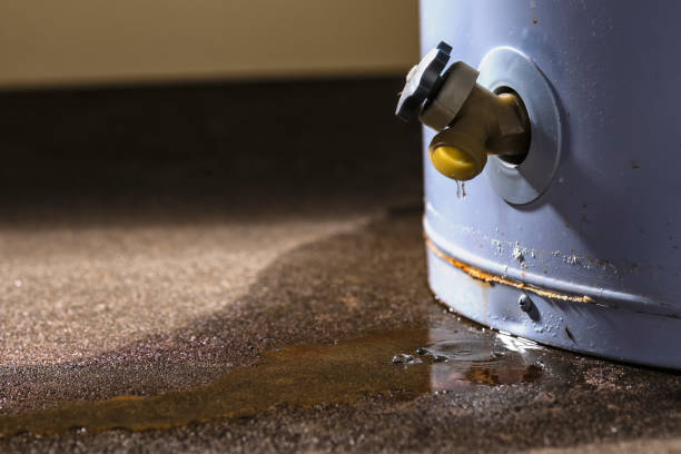 Best Ceiling water damage repair  in Lauderdale Lakes, FL