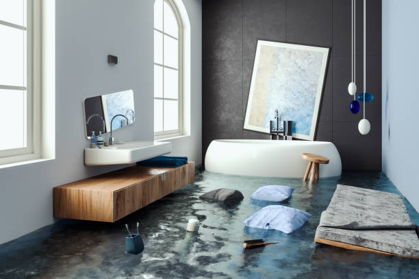  Lauderdale Lakes, FL Water damage restoration Pros