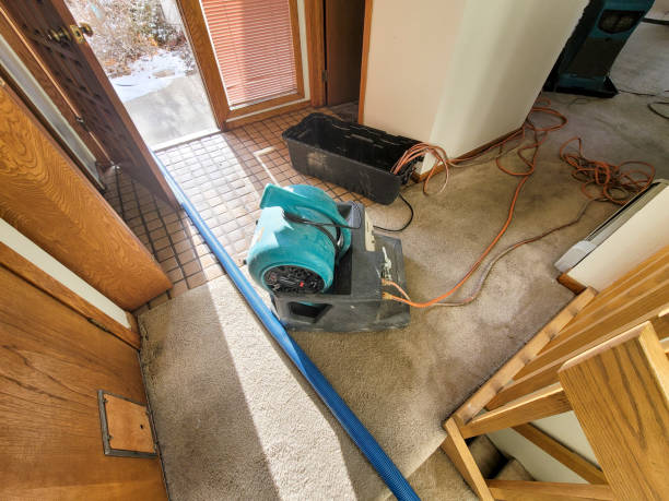 Best Flood restoration services  in Lauderdale Lakes, FL