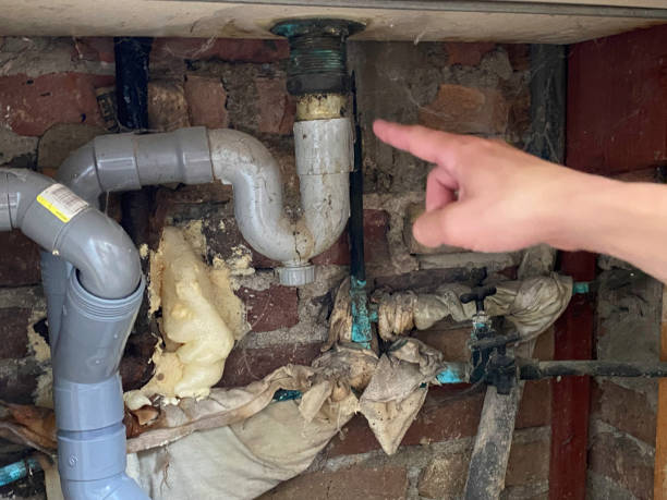 Best 24/7 water damage repair  in Lauderdale Lakes, FL